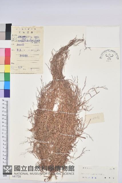 地錦藏品圖，第1張