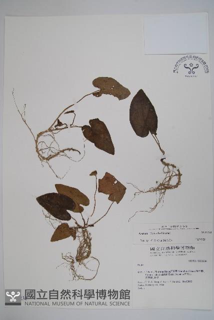 登錄號:S032238藏品圖，第1張