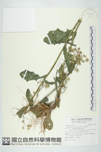 生毛將軍藏品圖，第1張