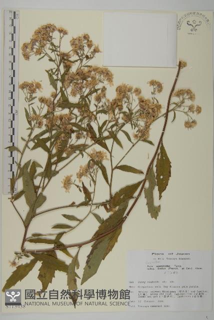 登錄號:S113438藏品圖，第1張