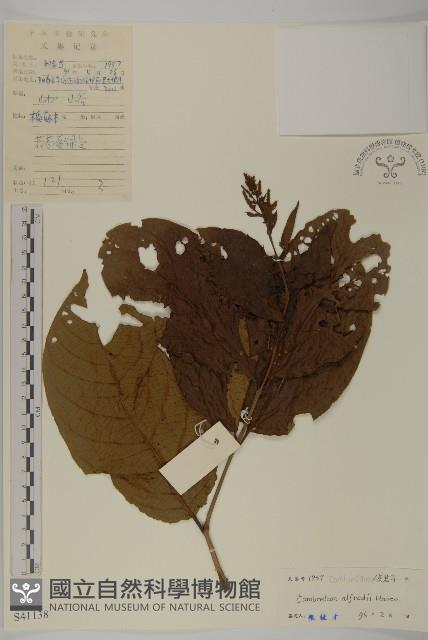 Accession Number:S041138 Collection Image, Figure 1, Total 3 Figures