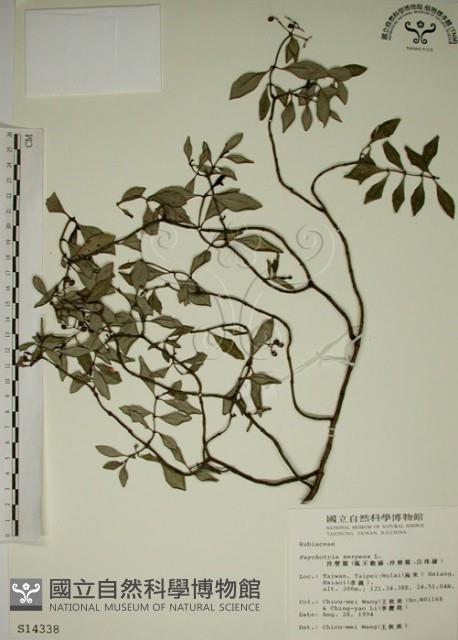 拎壁龍藏品圖，第1張