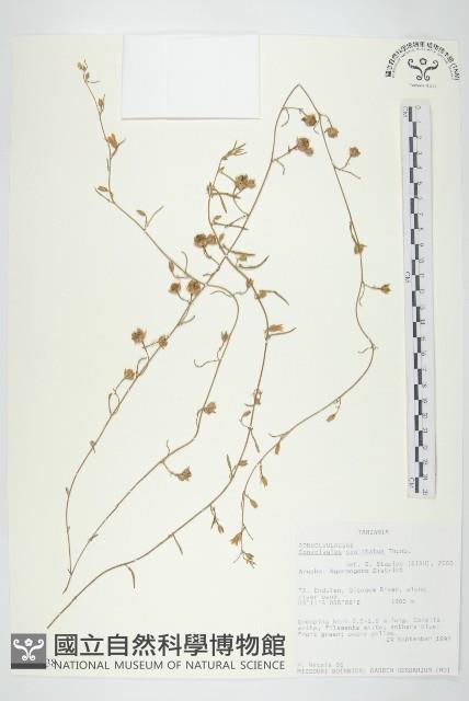 登錄號:S093838藏品圖，第1張