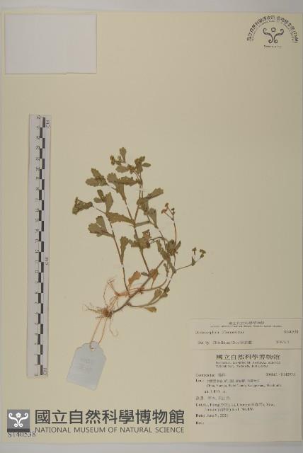 登錄號:S140538藏品圖，第1張