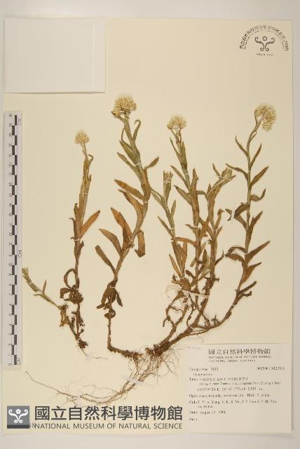 登錄號:S123538藏品圖，第1張