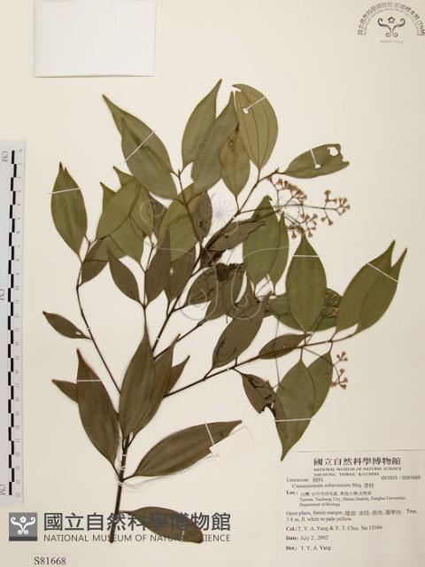 香桂藏品圖，第1張