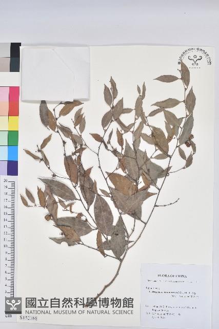 登錄號:S152768藏品圖，第1張