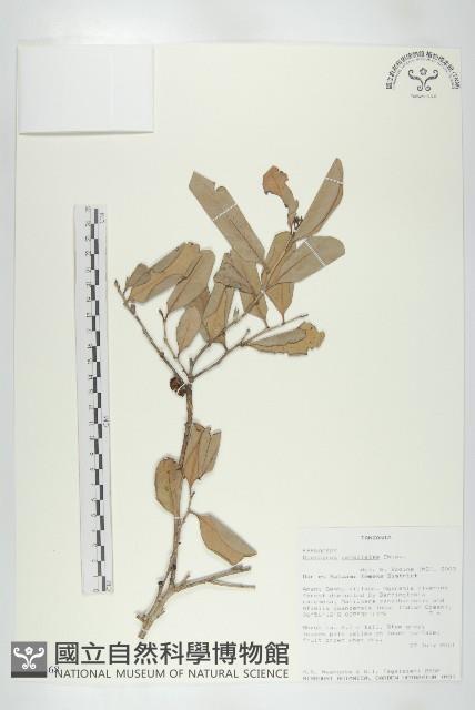 登錄號:S093468藏品圖，第1張