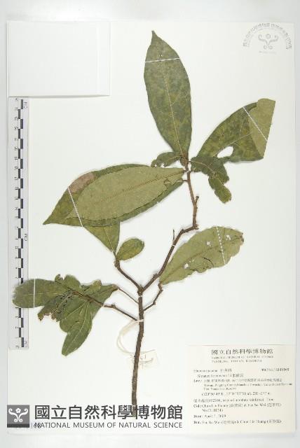 猴歡喜藏品圖，第1張