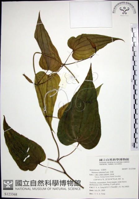 百部藏品圖，第1張