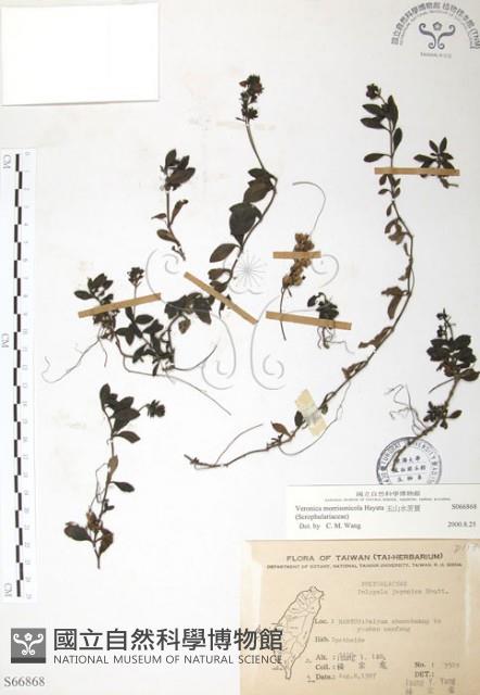 玉山水苦賈藏品圖，第1張