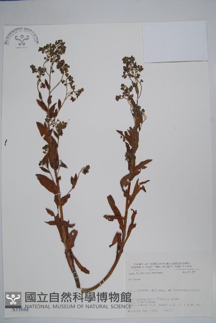 登錄號:S031648藏品圖，第1張