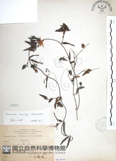 山素英藏品圖，第1張