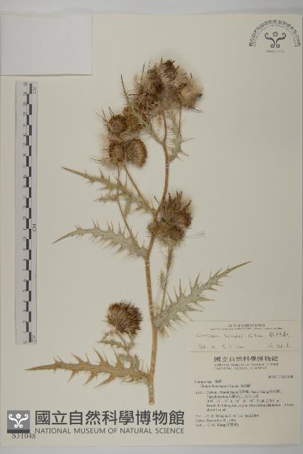 細川氏薊藏品圖，第1張