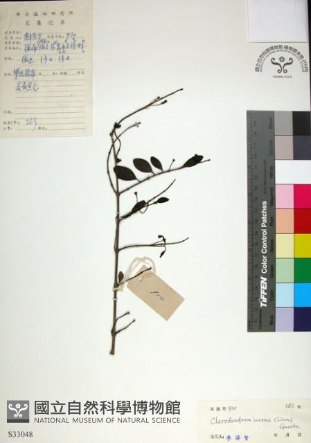 苦林盤藏品圖，第1張