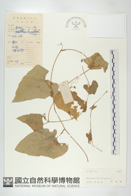 全緣括樓藏品圖，第1張