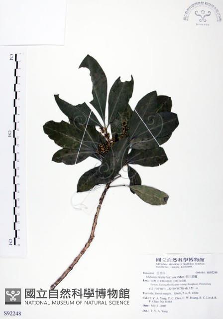 假三腳虌藏品圖，第1張