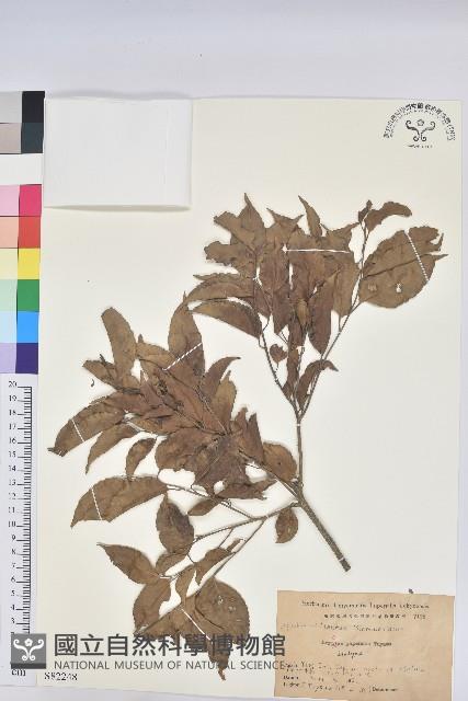 登錄號:S082248藏品圖，第1張