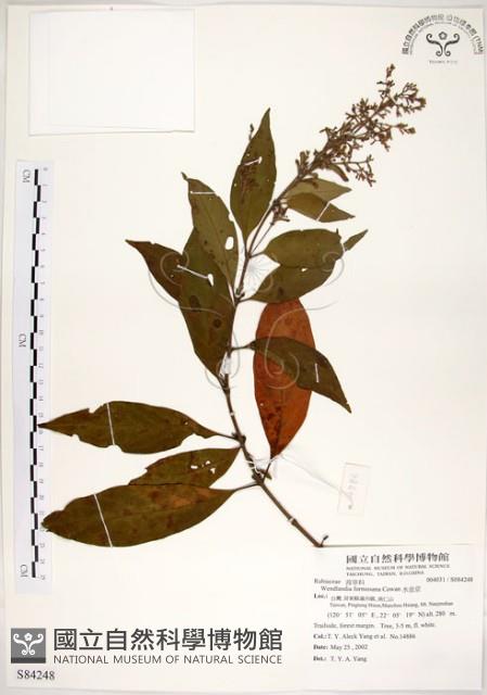 水金京藏品圖，第1張