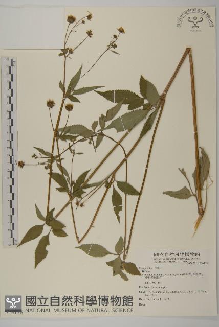 登錄號:S074148藏品圖，第1張