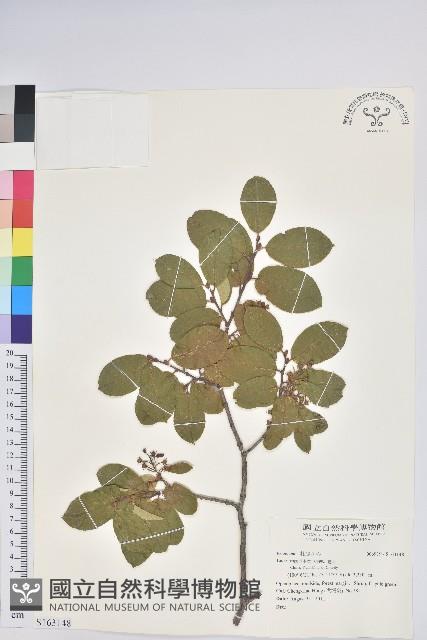 登錄號:S163148藏品圖，第1張