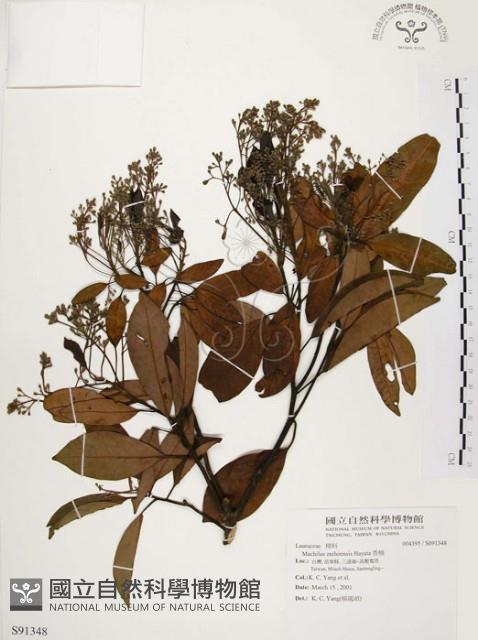 香楠藏品圖，第1張