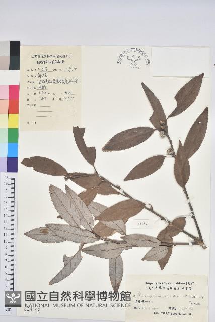 登錄號:S024348藏品圖，第1張