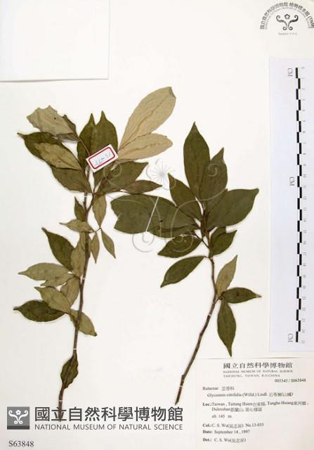 石苓舅藏品圖，第1張