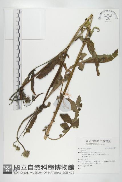 登錄號:S137848藏品圖，第1張