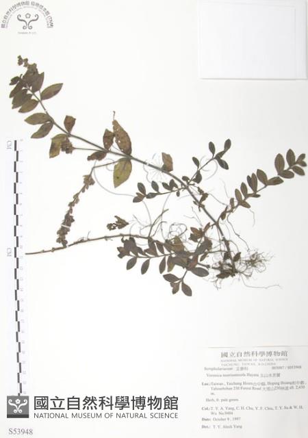 玉山水苦賈藏品圖，第1張