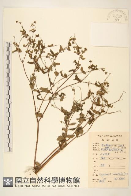 豨簽藏品圖，第1張