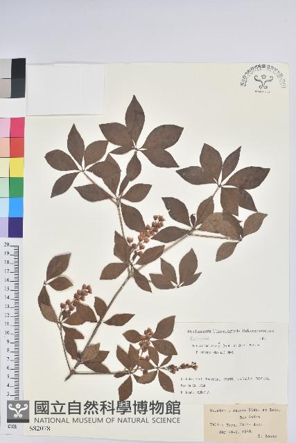 登錄號:S082078藏品圖，第1張