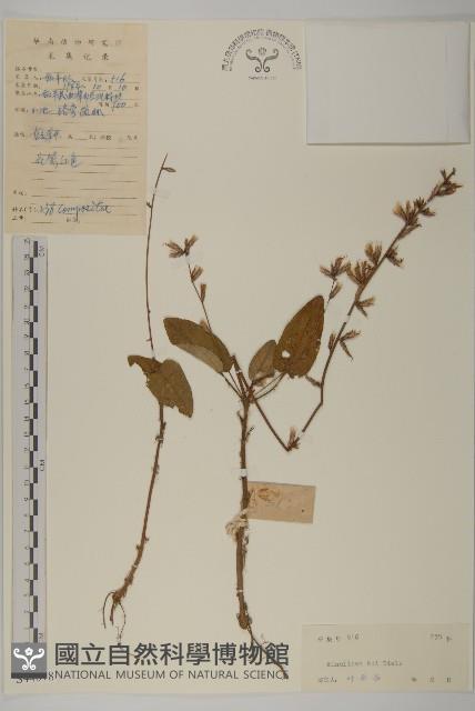 Accession Number:S044078 Collection Image, Figure 1, Total 3 Figures