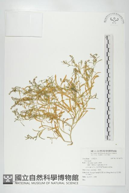 登錄號:S131778藏品圖，第1張