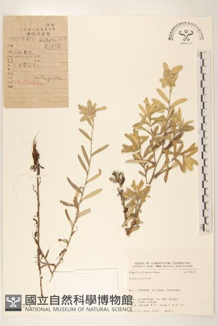 登錄號:S025778藏品圖，第1張