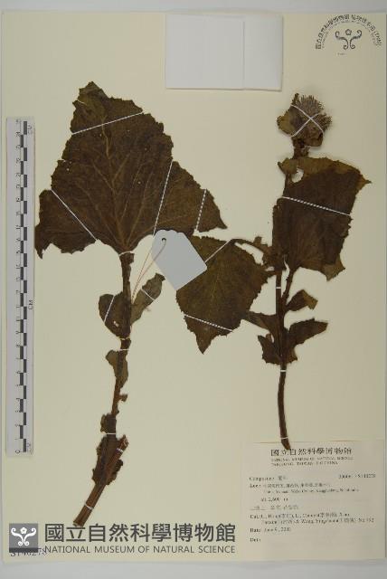 登錄號:S140278藏品圖，第1張