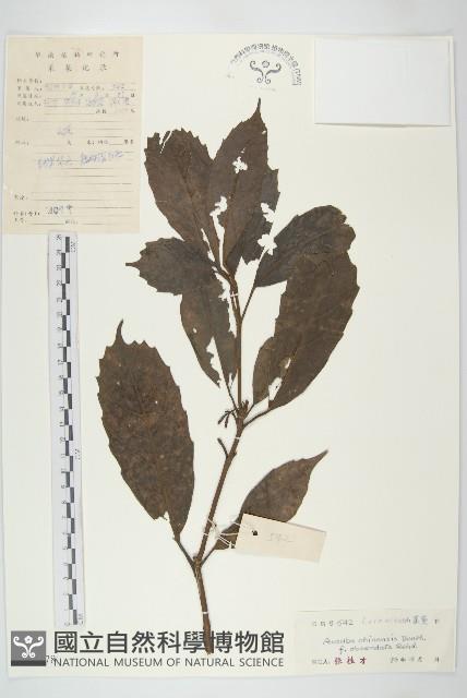 登錄號:S041278藏品圖，第1張