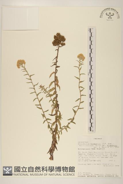 登錄號:S093278藏品圖，第1張