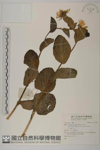 登錄號:S137278藏品圖，第1張