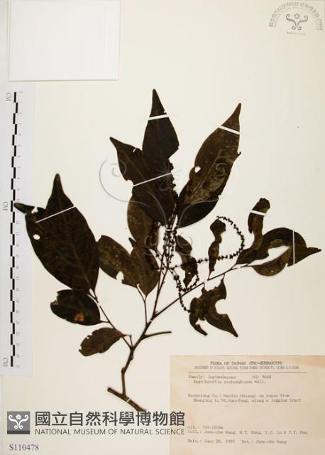 黃杞藏品圖，第1張