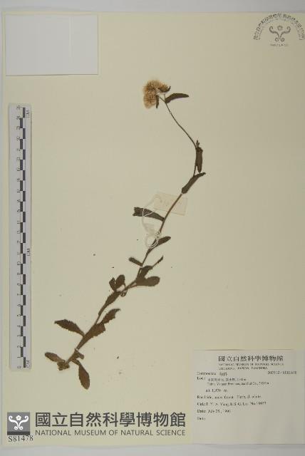 登錄號:S081478藏品圖，第1張