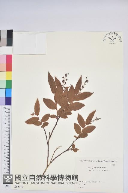 登錄號:S082178藏品圖，第1張