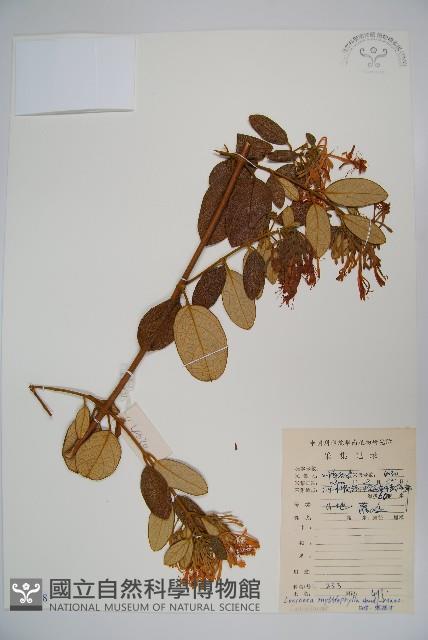登錄號:S084578藏品圖，第1張