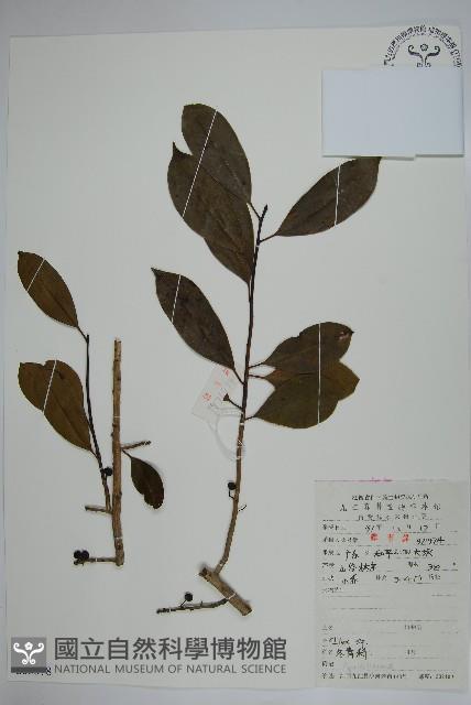 登錄號:S053578藏品圖，第1張