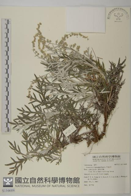 太魯閣艾藏品圖，第1張