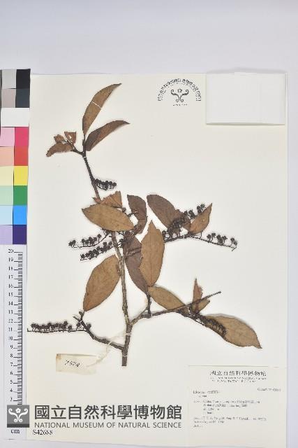 登錄號:S042688藏品圖，第1張