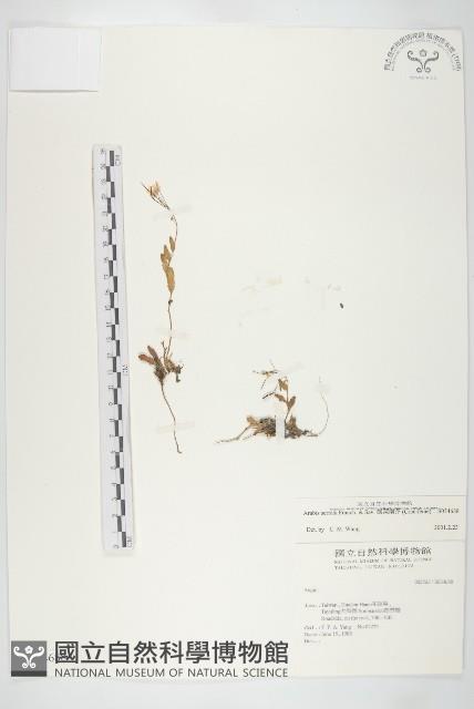 Accession Number:S034688 Collection Image, Figure 1, Total 2 Figures