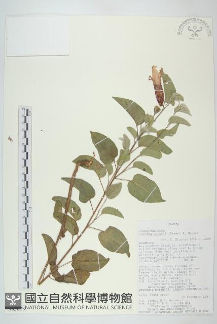 登錄號:S093688藏品圖，第1張