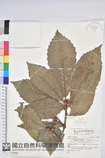 登錄號:S152088藏品圖，第1張