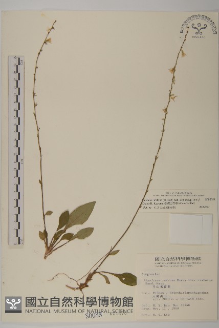 臺灣鬼督郵藏品圖，第1張